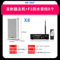 先科 F1 无线蓝牙壁挂音响