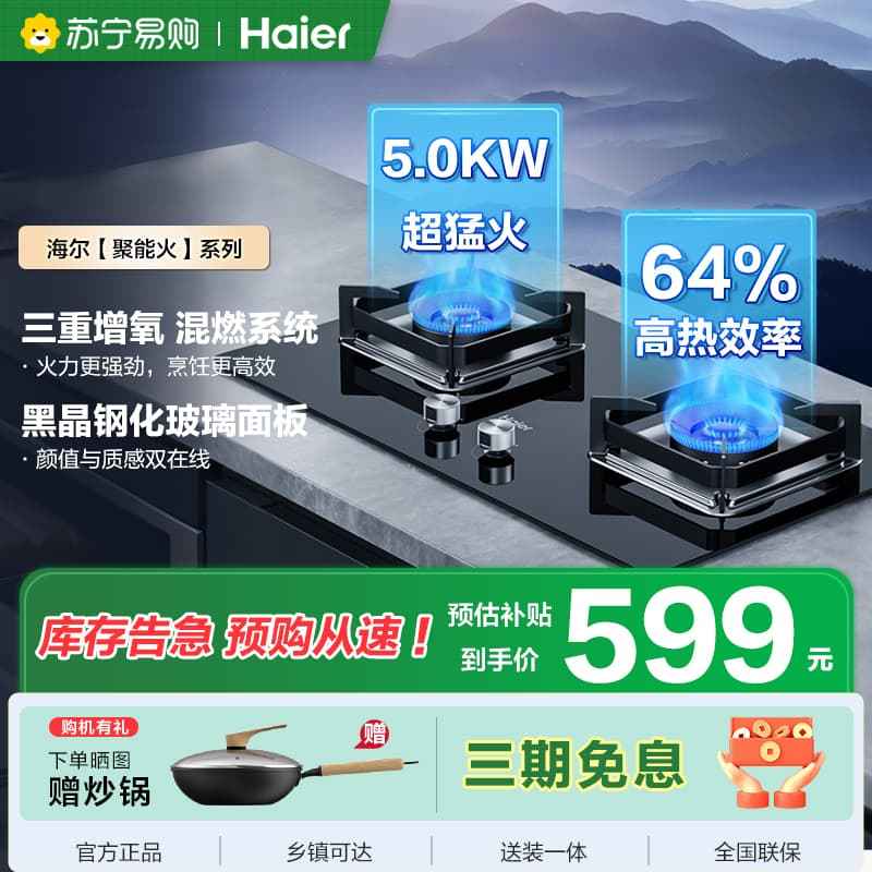 海尔Haier一级能效智能点火双眼燃气灶台嵌液化气燃气灶Q2BE6(20Y)