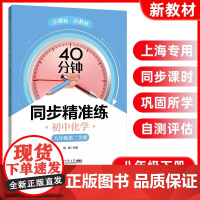 40分钟同步精准练 初中化学 八年级第二学期 杨明 主编 中小学教辅
