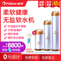 派斯无盐软水机 家用别墅全屋中央净化阻垢器SSP-100