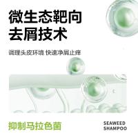 柏缇pote 海藻去屑止痒洗发露505ml