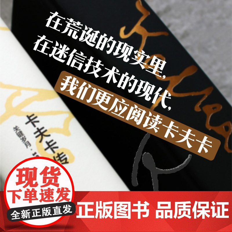 文学纪念碑048 卡夫卡传:关键岁月1910-1915 呈现现代社会噩梦对个体生活的剥夺 变形记 莱纳.施塔赫著 人物传高清大图
