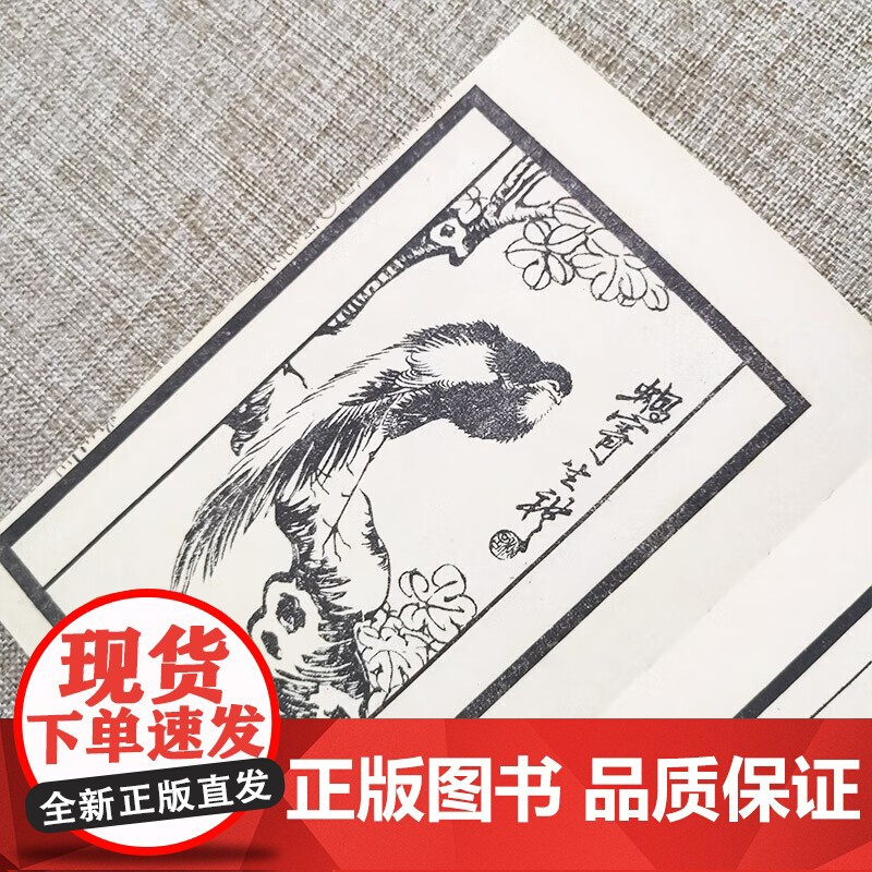 三希堂画宝]翎毛花卉卷3 中国古代经典画谱集成 人民美术 大观浅说花卉翎羽画法示范名家画作详细技法解说示范绘画初学者入门