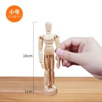 5.5寸 (14.2cm) [小号] 小木人 迷几多索多西 小木人人偶高关节人模型木偶人体模型素描漫画木手