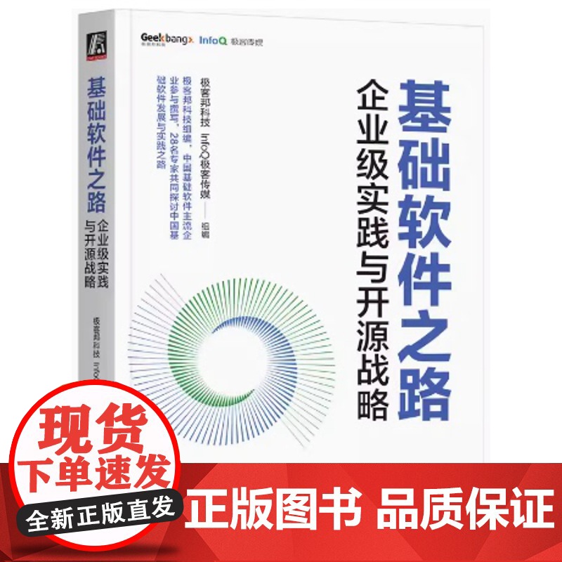 基础软件之路 企业级实践与开源战略 极客邦科技