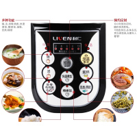 利仁(Liven)电压力锅高压锅多功能家用5L大容量电压力煲可预约电饭锅电饭煲电炖锅西施压力煲DNG-500A不锈钢色