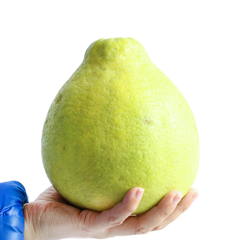 客来客往(kelaikewang) 梅州沙田柚 广东金柚柚子 20