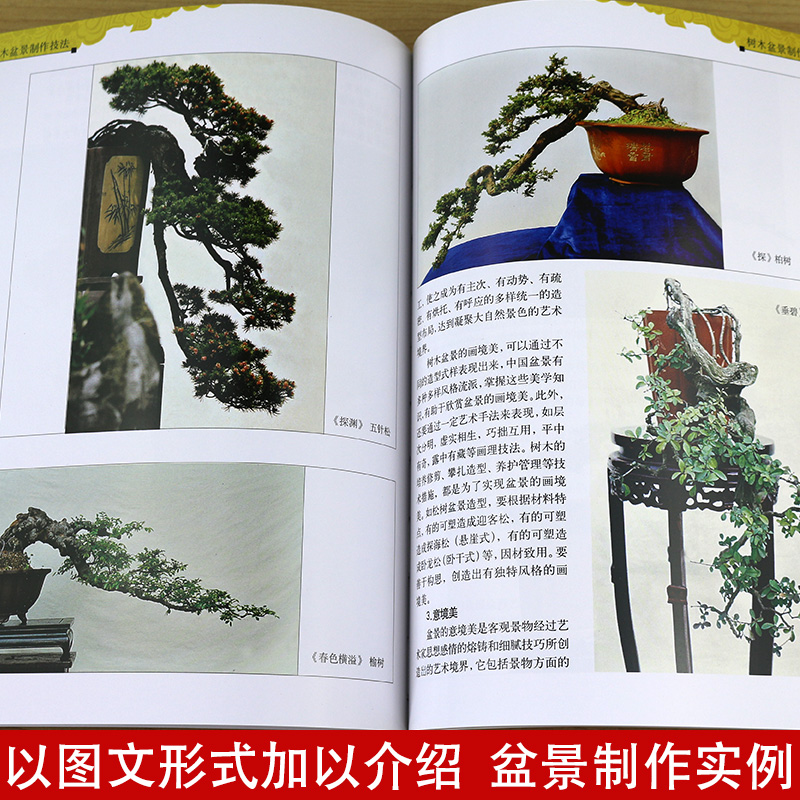[醉染正版]正版 树木盆景 制作技法书籍修订版家庭园艺养护盆景设计栽培书籍盆栽种植艺术盆栽盆景防虫知识盆景造型制作书高清大图