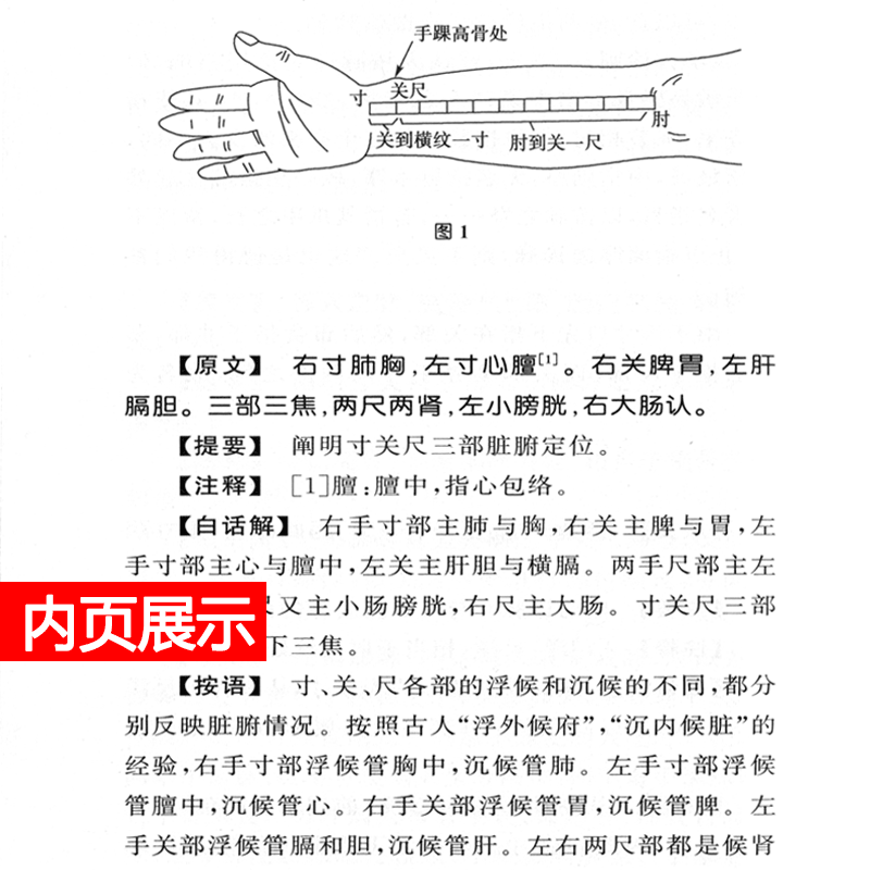 [正版] 医宗金鉴:四诊心法要诀白话解 何任编人民卫生出版社节选自清代吴谦编撰的御纂医宗金鉴可搭配伤寒心法要诀杂病心法
