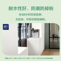 多乐士(Dulux)臻易施补墙膏净味白色墙面裂缝修复翻新防潮耐水腻子修补膏墙漆 250g