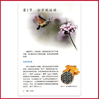 九年级物理书人教版 初中课本教材教科书 初三 9年级（全一册）人民教育出版社