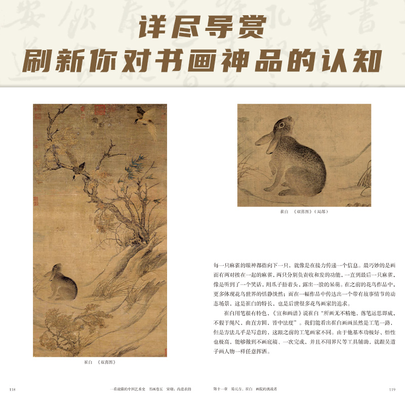 [正版]一看就懂的中国艺术史 书画卷5 宋朝:尚意求韵 祝唯慵 著 美术绘画技法教程图书 艺术类书籍 江苏凤凰文艺出版高清大图