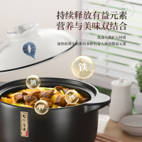 荣事达(Royalstar)砂锅炖锅家用7L燃气耐高温手绘釉彩干烧不裂 瓦煲陶瓷汤煲仔饭沙锅RA182222