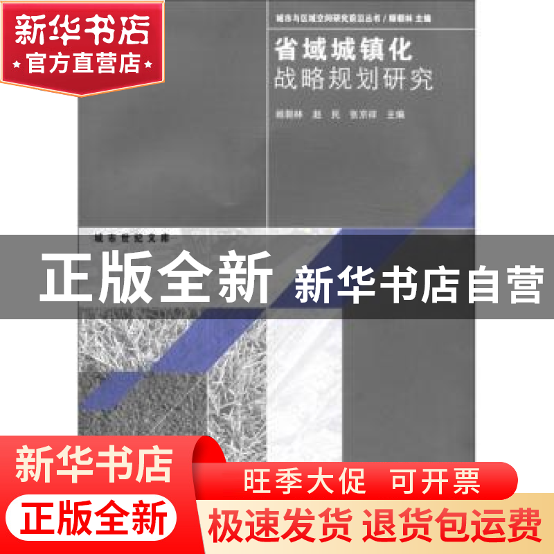 正版 省域城镇化战略规划研究 顾朝林,赵民,张京祥主编 东南大