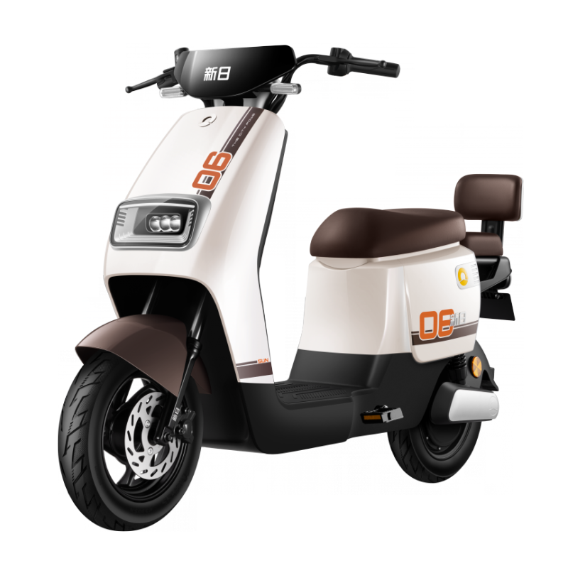 新日 博闻EB 新国标 磷酸铁锂48V24Ah 二轮电动自行车