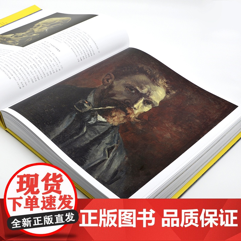 梵高 化世间痛苦为激情洋溢的美300幅梵高绘画作品集油画星空向日葵梵高传绘本油画艺术临摹画册手绘油画数字油画插画高清大图