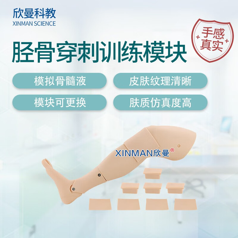 欣曼科教 胫骨穿刺训练模块 成人胫骨骨内穿刺输液训练模型XM-GC3