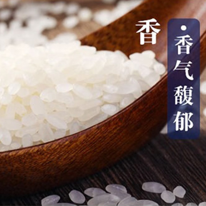金龙鱼大米颗粒饱满质地纯净蒸煮软糯味香甜射阳大米5kg(包装随机)高清大图