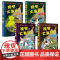 视觉大发现全套4册 寻找隐藏的图画儿童手电筒游戏书大本科普透视绘本专注力训练3-6-8-12岁以上找东西的书动物森林大探