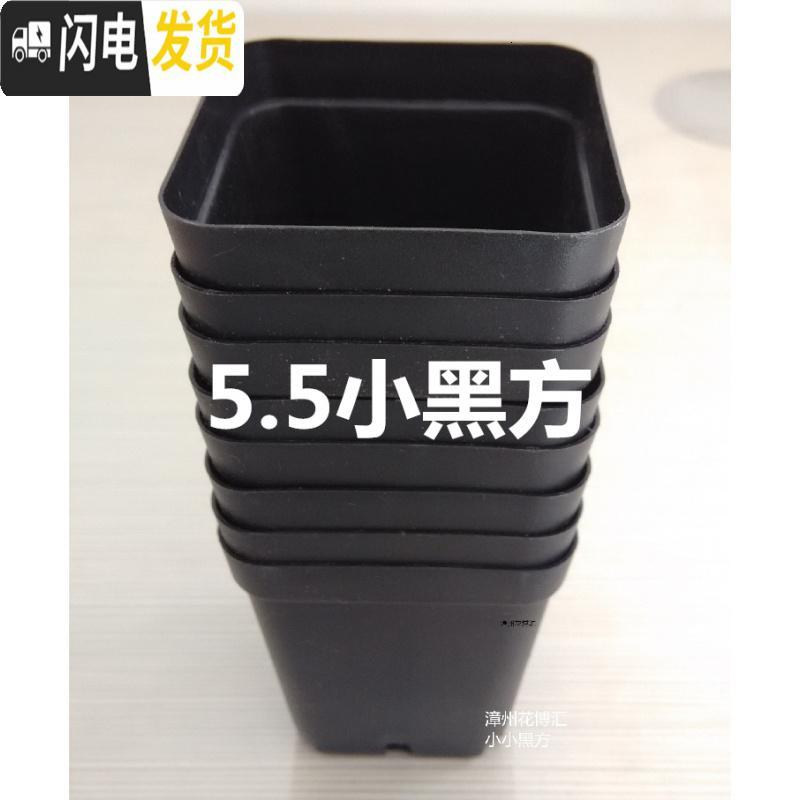 三维工匠掌柜推荐桌面简约多肉植物花盆小黑方扦插育苗塑料方盆价优 黑色7x7x6.8cm30个 中小花盆容器高清大图