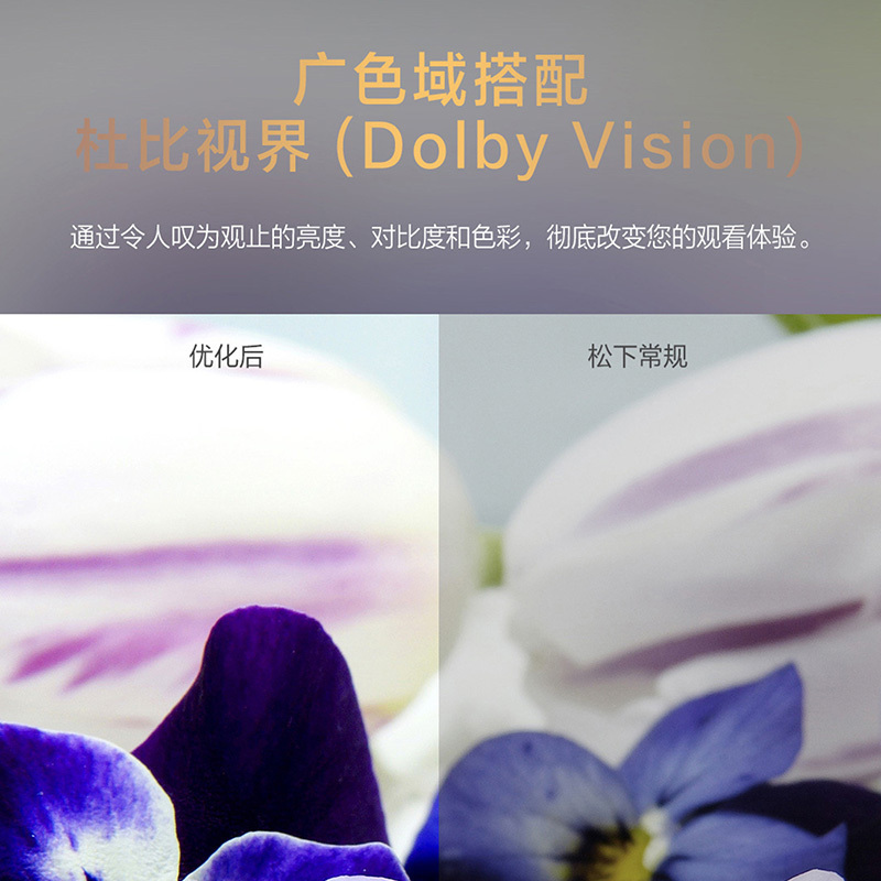 松下(Panasonic)TH-65LX580CP 65英寸4K超清全面屏双频WiFi安卓10智能语音液晶电视3+64G