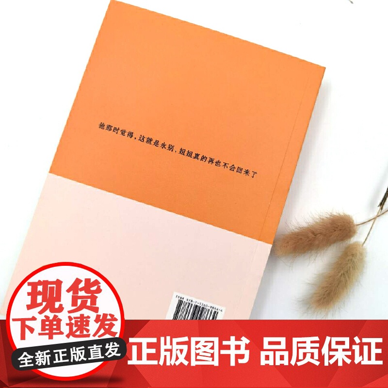 河流如血:(世事千变万化,唯亲情不变。海岩情感四部曲,你不能错过的海岩小说。)高清大图