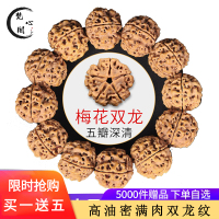 梵心阁 金刚菩提手串 2.0大金刚佛珠 文玩大金刚念珠尼泊尔藏式爆满肉双龙纹高油密菩提子原籽手串