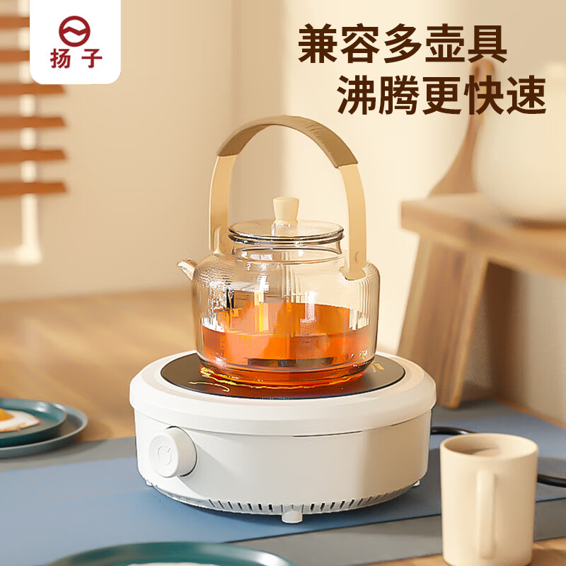 扬子(YAIR) HLY-01 电陶炉