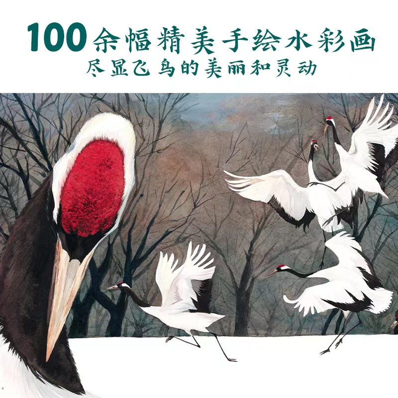 醉染图书丹顶鹤的旅程9787544876995高清大图