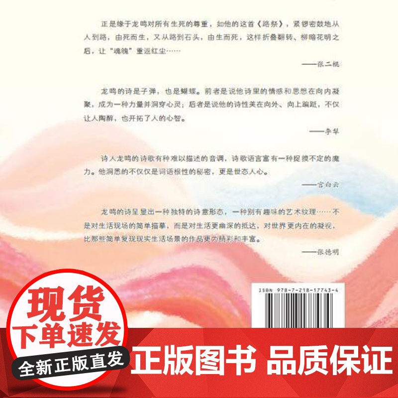 精装]风过陆溪 社会生活的感悟 寄托对生活的冀望 剖析个人理想和内心世界艺术性文学性 浓厚的乡土气息诗歌作品集广东人民出高清大图