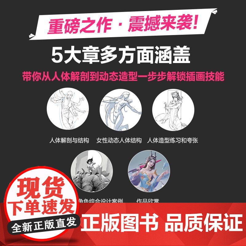 女性角色人体结构动态基础与造型设计 人体结构动态人体解剖肌肉与线条动漫人体造型插画设计构图高清大图