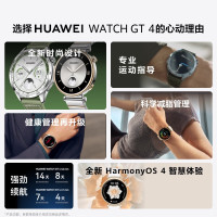 华为/HUAWEI WATCH GT 4 41mm 皓月银 不锈钢间金表带 智能手表 运动手表