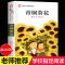 [特价单本]青铜葵花 四年级阅读课外书必读下册 全套4册青铜葵花正版完整版小英雄雨来