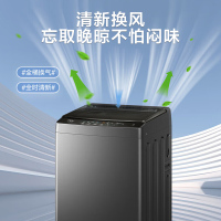 海尔(Haier)8公斤 家用 全自动波轮洗衣机自编程速洗除菌洗漂脱可调 以旧换新XQB80-Z606