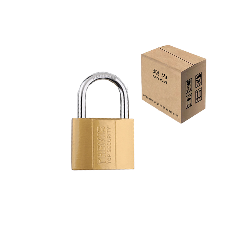 锁挂锁铁锁小挂锁单开锁 20mm 把高清大图