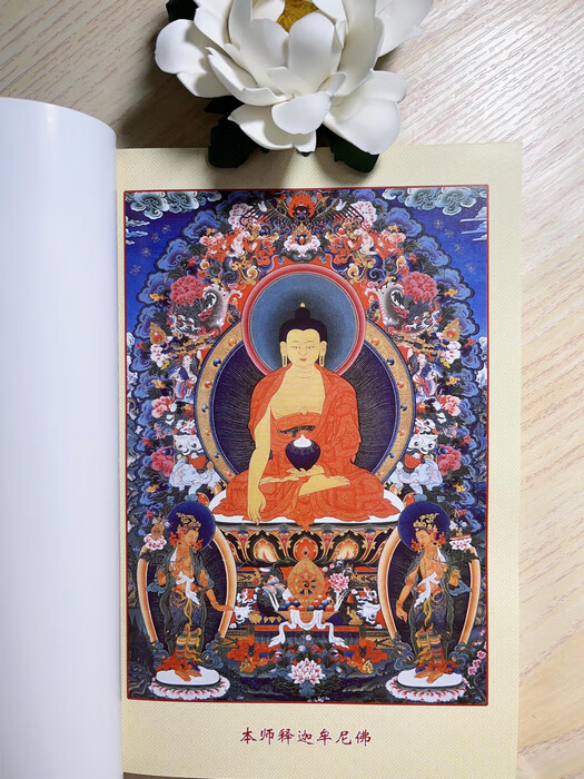 《如意宝藏论白莲花》 2022年索师力作正宗版本,547页 ,547页高清大图