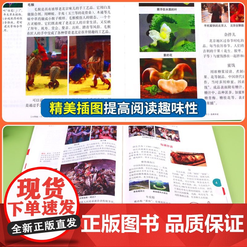 2025新版年级阅读一年级二年级三年级下册一下二下小学生绘本课堂四五六上册阅读理解同步课本课外拓展语文人教版年纪阅读学习高清大图