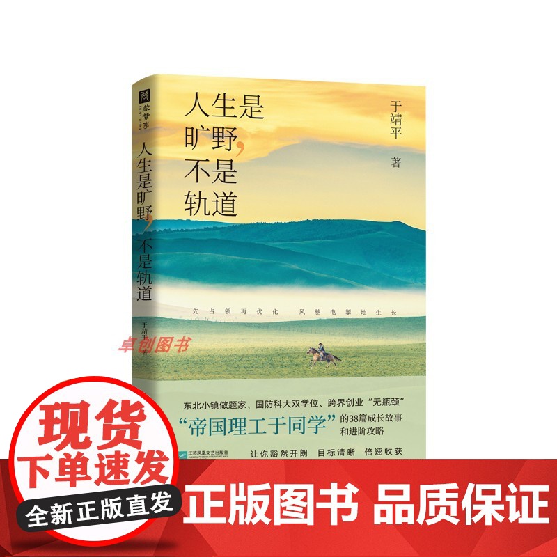 人生是旷野,不是轨道 于靖平著 “帝国理工于同学” 送给年轻人的进阶攻略+成事手册!选择、规划比努力更重要江苏凤凰文艺高清大图