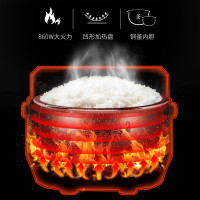 4L饭煲 米汤分离 智能轻养 九阳(Joyoung)电饭煲电饭锅4L微电脑式智能预约饭煲多功能小米粥家用煮饭锅2-6人可