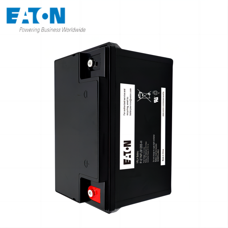 伊顿蓄电池 P-ETNFLB1265-H高清大图