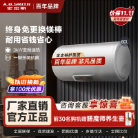 AO史密斯60升电热水器 专利免更换镁棒 金圭内胆 速热节能 纤美长款 大屏E60VC0 一级能效