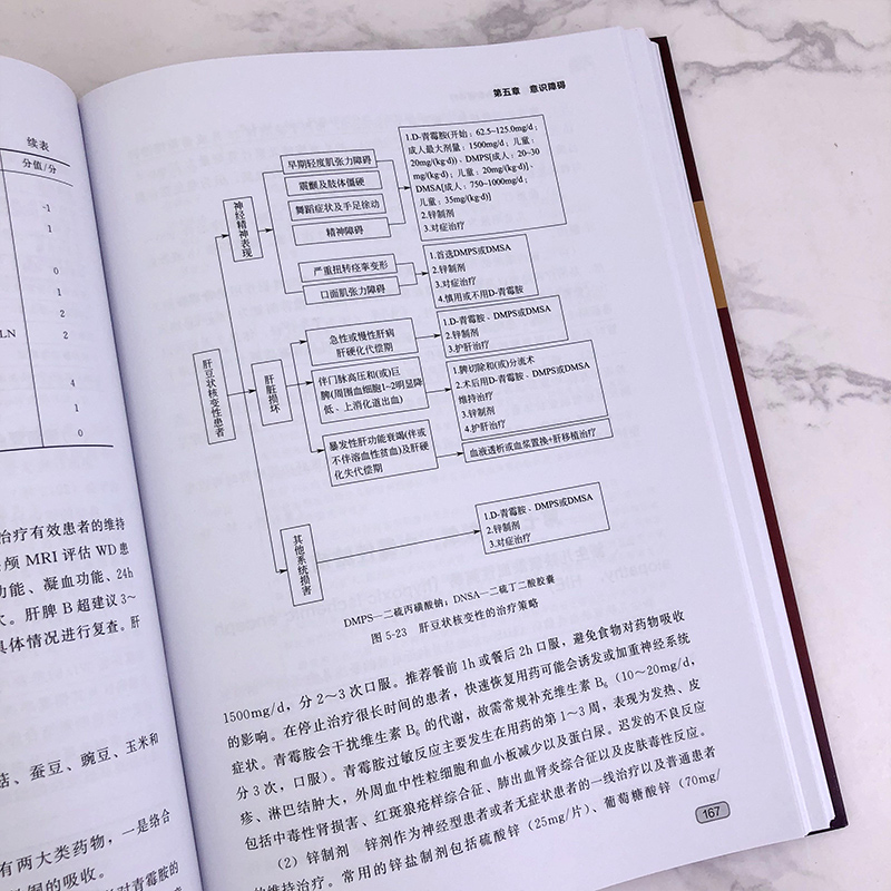 [正版]儿童神经与发育行为疾病诊疗 陈燕惠 儿童儿科神经系统医生常见疾病鉴别诊断治疗书籍 儿科医生神经系统疾病临床治疗高清大图