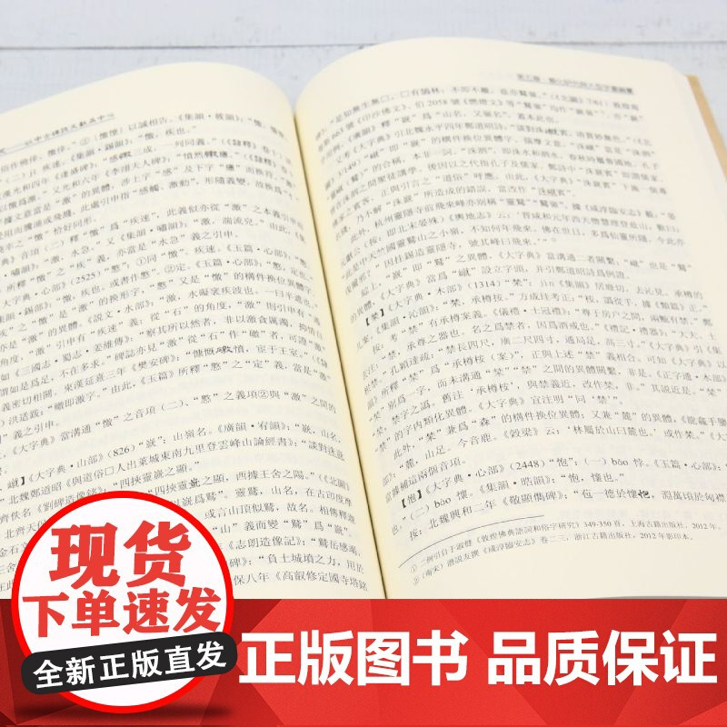 汉字类化研究:以中古碑志文献为中心
