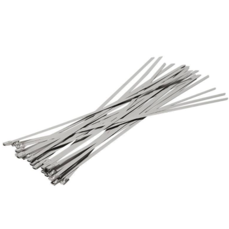 诚智旺 不锈钢扎带 10*1400 /根高清大图