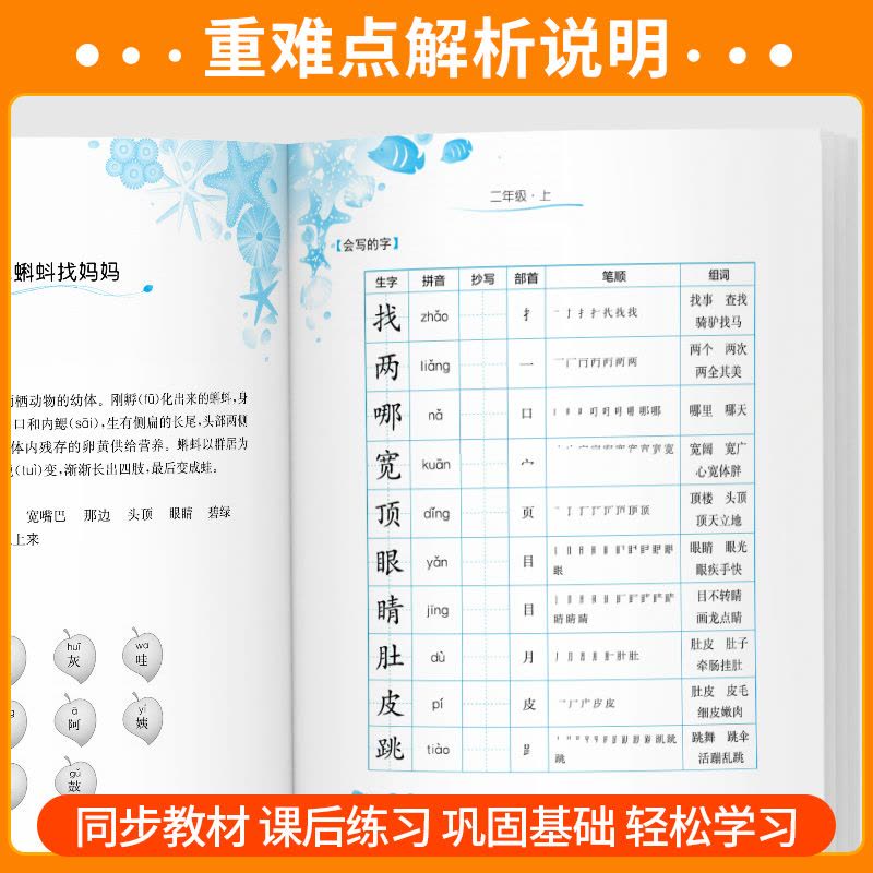 [单本]语文词语手册 五年级上 [正版]实验班小学语文词语手册一年级二年级三年级四五六年级上册下册人教版课文学汉语拼音拼图片