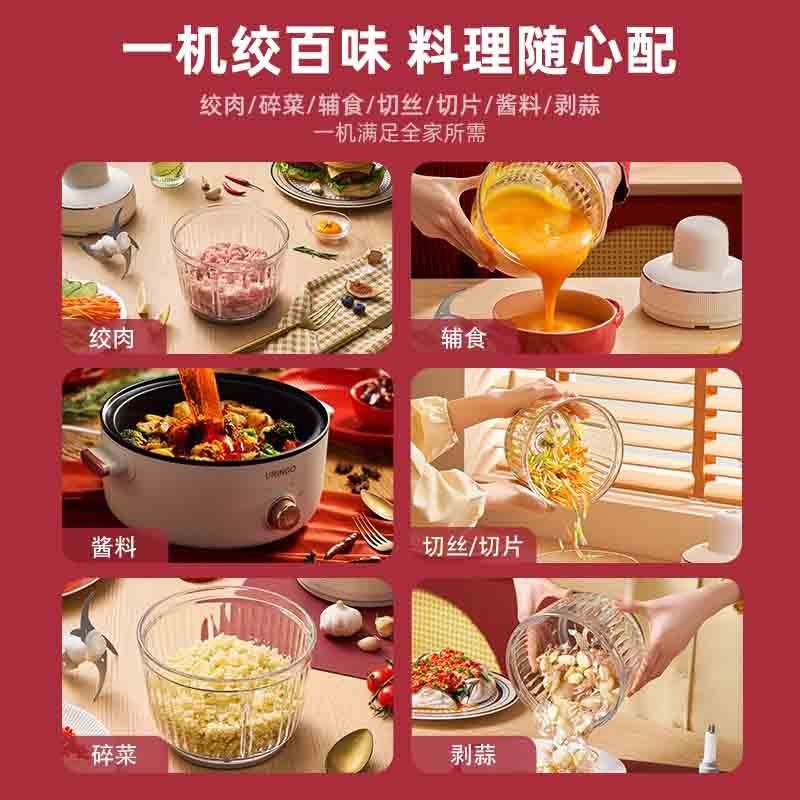 益多 绞肉机搅拌机小型迷你家用多功能家用全自动多功能电动小型料理机搅拌机碎肉绞馅辅食机 XF-01