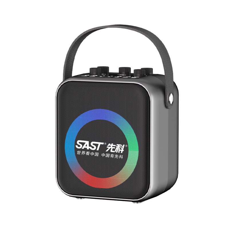先科(SAST)户外手提音响T93 灰色 手持话筒 广场舞音响手提便携式无线蓝牙音箱大音量户外骑行K歌高清大图