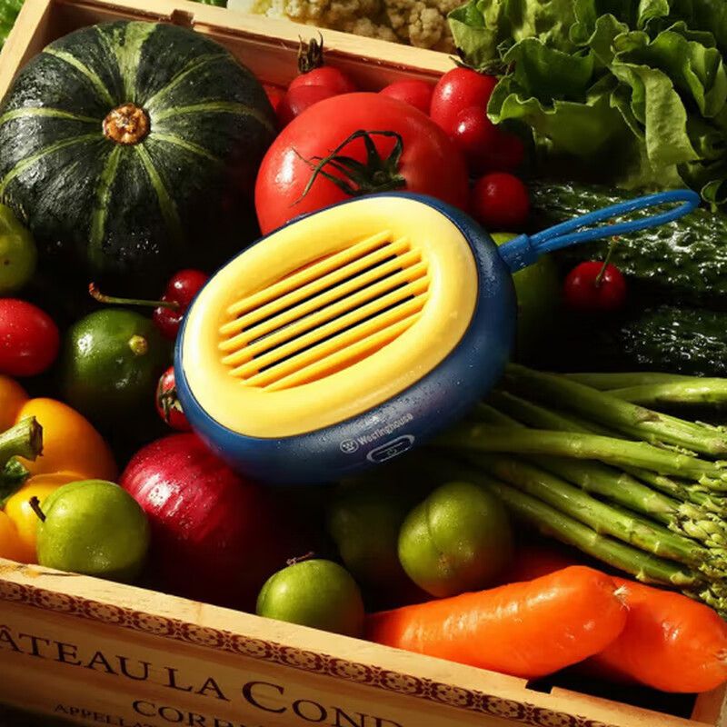 西屋(Westinghouse)果蔬清洗机WGS31