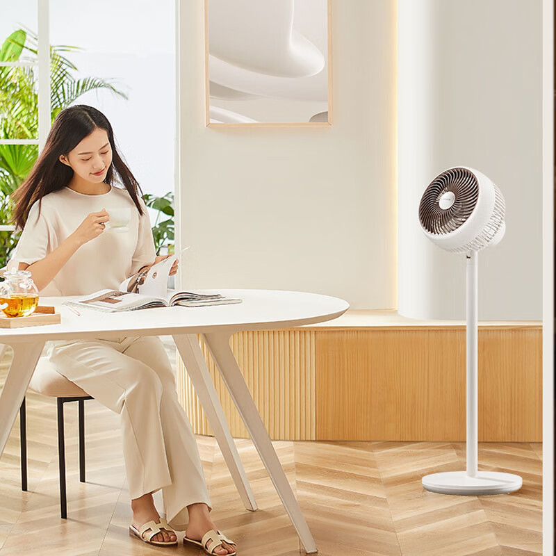 艾美特AIRMATE 机械落地循环扇 FA15-X3高清大图