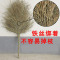 宝家洁 大号 大扫把 (宁享版)